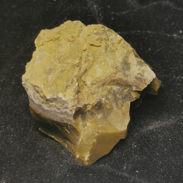 Opalisiertes Versteinertes Holz